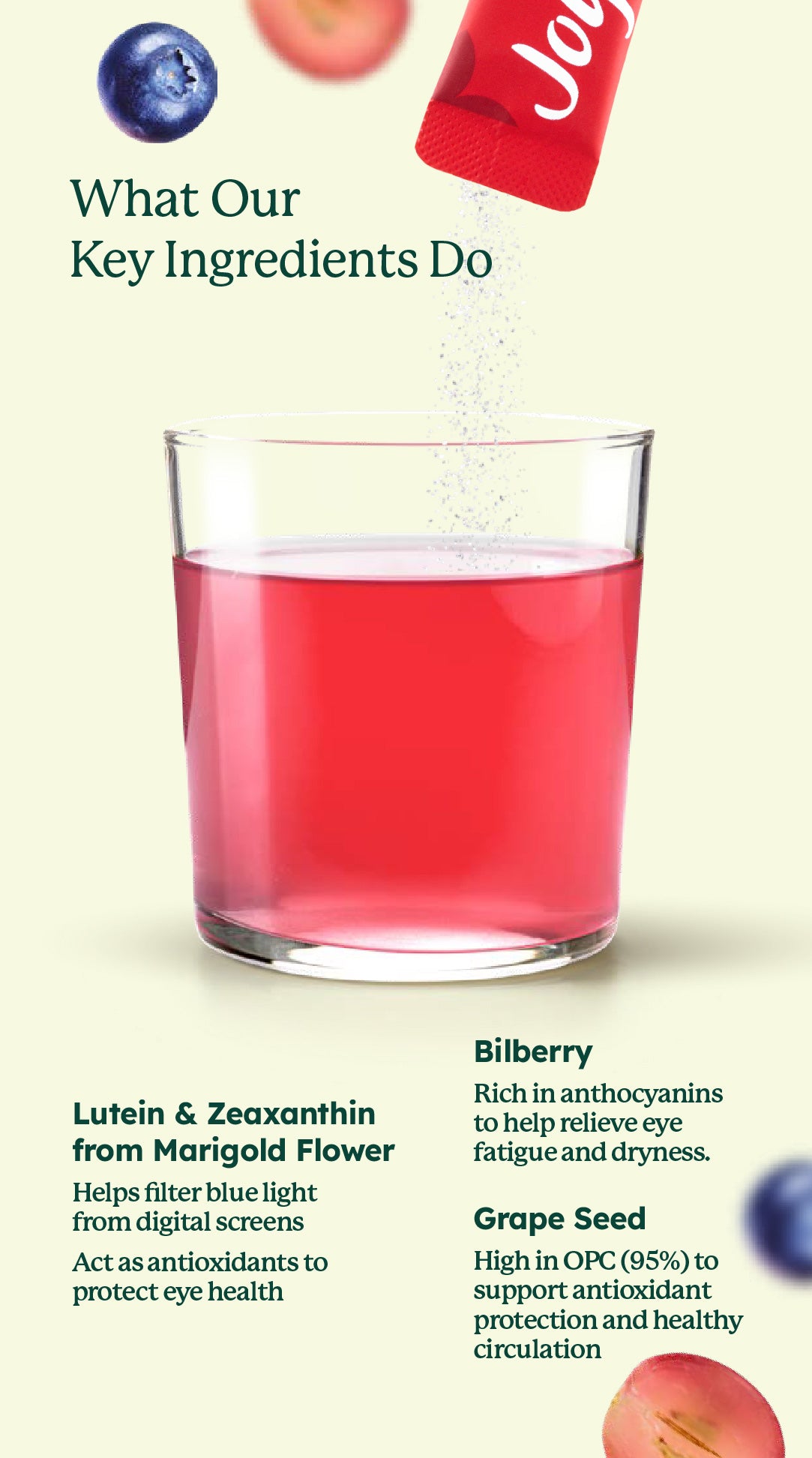 EyeMax® Mixed Botanical Drink with Lutein, Zeaxanthin, Bilberry & Grape Seed (30's)