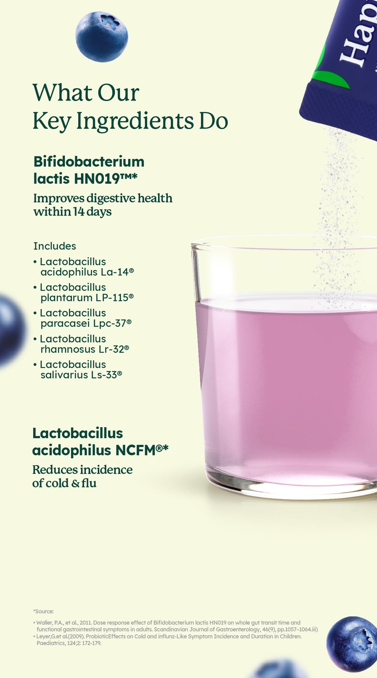 Happy PRO®  Mixed Blueberry Powder + Probiotics (30's)