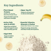 Prenatal Plant Protein Shake with DHA, Vitamins & Minerals (15's)