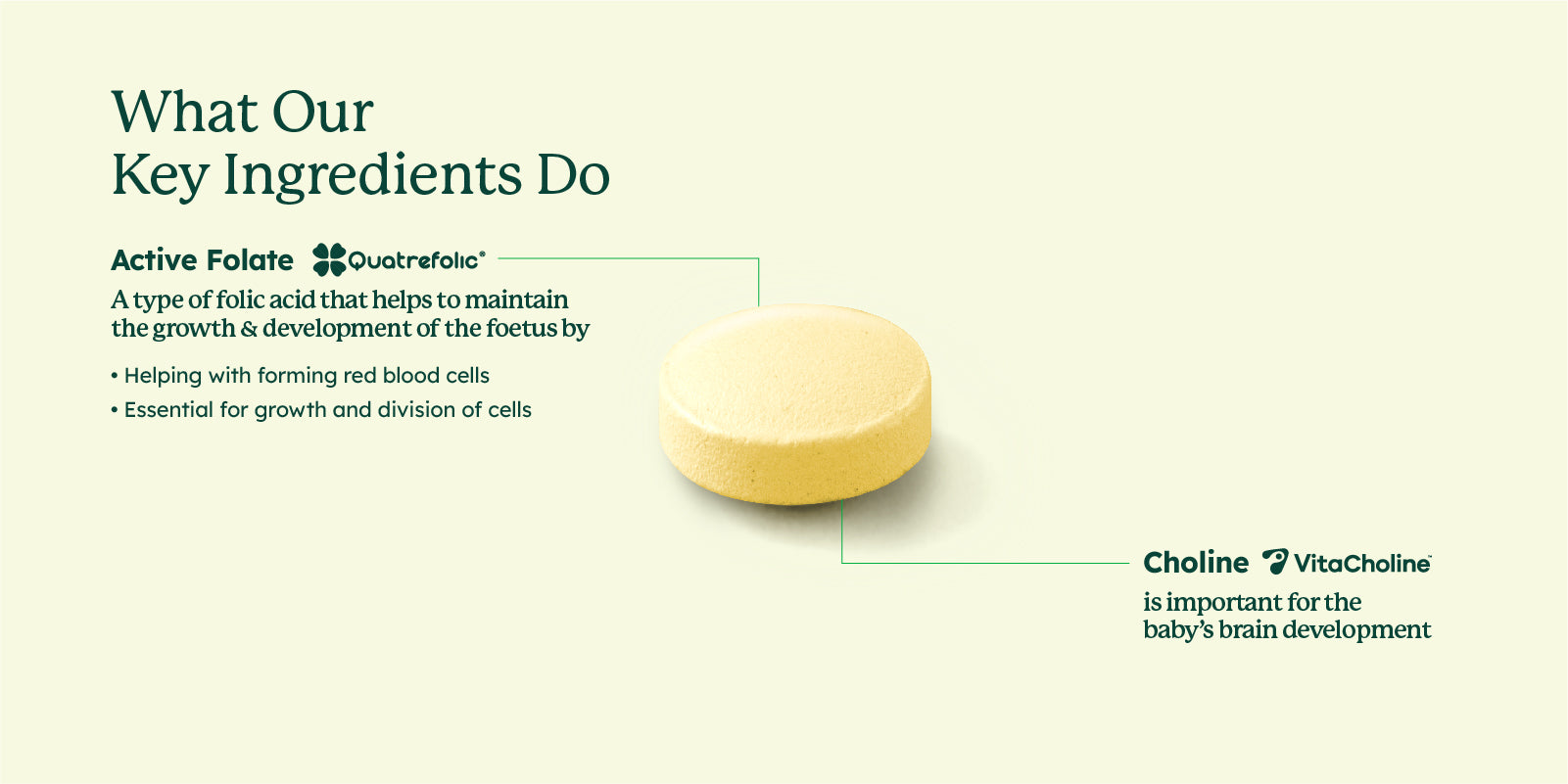Pre-Conception & Pregnancy Duo Tablets (60's)