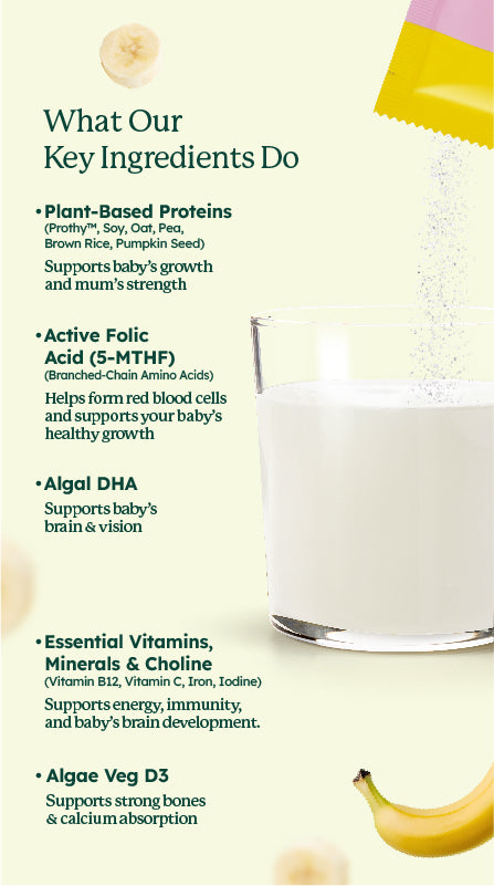 Prenatal Plant Protein Shake with DHA, Vitamins & Minerals (15's)