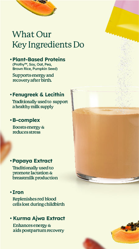 Lactation Plant Protein Shake (Buy 3 Boxes Free 7 Sachets)