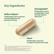 MidVida® Capsule (30'S)