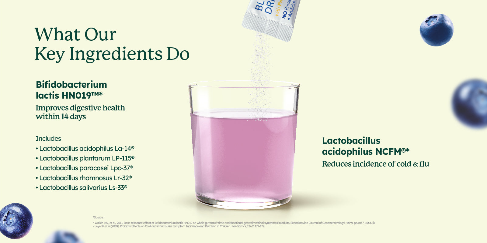 Happy PRO®  Blueberry Drink Mix with 15 Billion CFU Probiotics (30's)