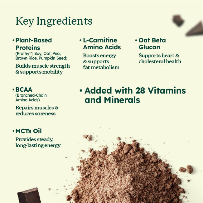 SleamMeals®  Rich Dark Chocolate Plant Protein Shake (15‘S)