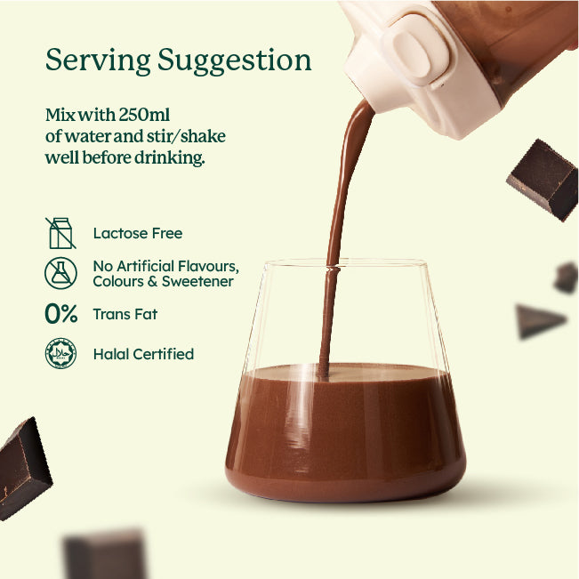 SleamMeals®  Rich Dark Chocolate Plant Protein Shake (15‘S)