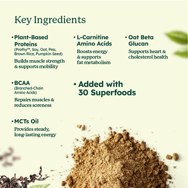SleamMeals® Creamy Nishio Hojicha Plant Protein Shake (15'S)