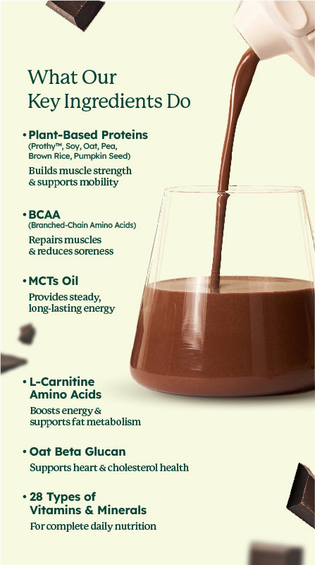 SleamMeals®  Rich Dark Chocolate Plant Protein Shake (15‘S)
