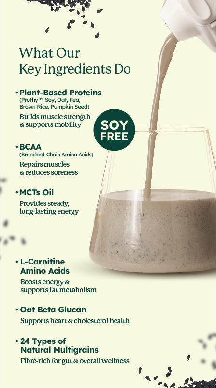 SleamMeals®  Creamy Black Sesame Plant Protein Shake  (15'S)
