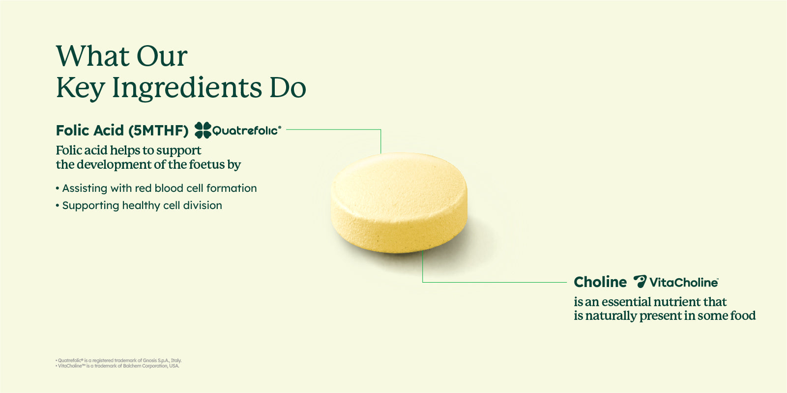 Pre-Conception & Pregnancy Duo Tablets (60's)