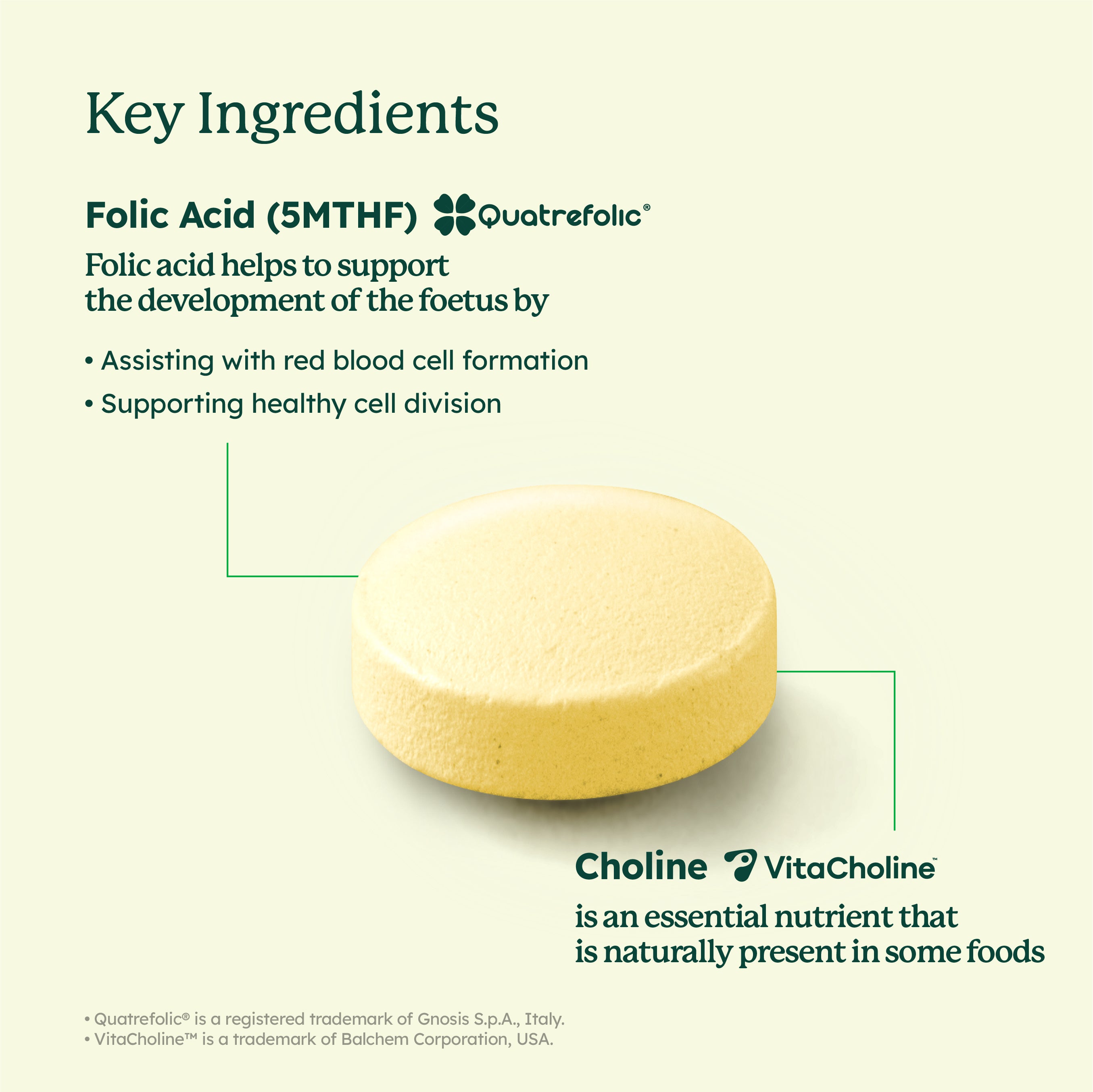 Pre-Conception & Pregnancy Duo Tablets (60's)