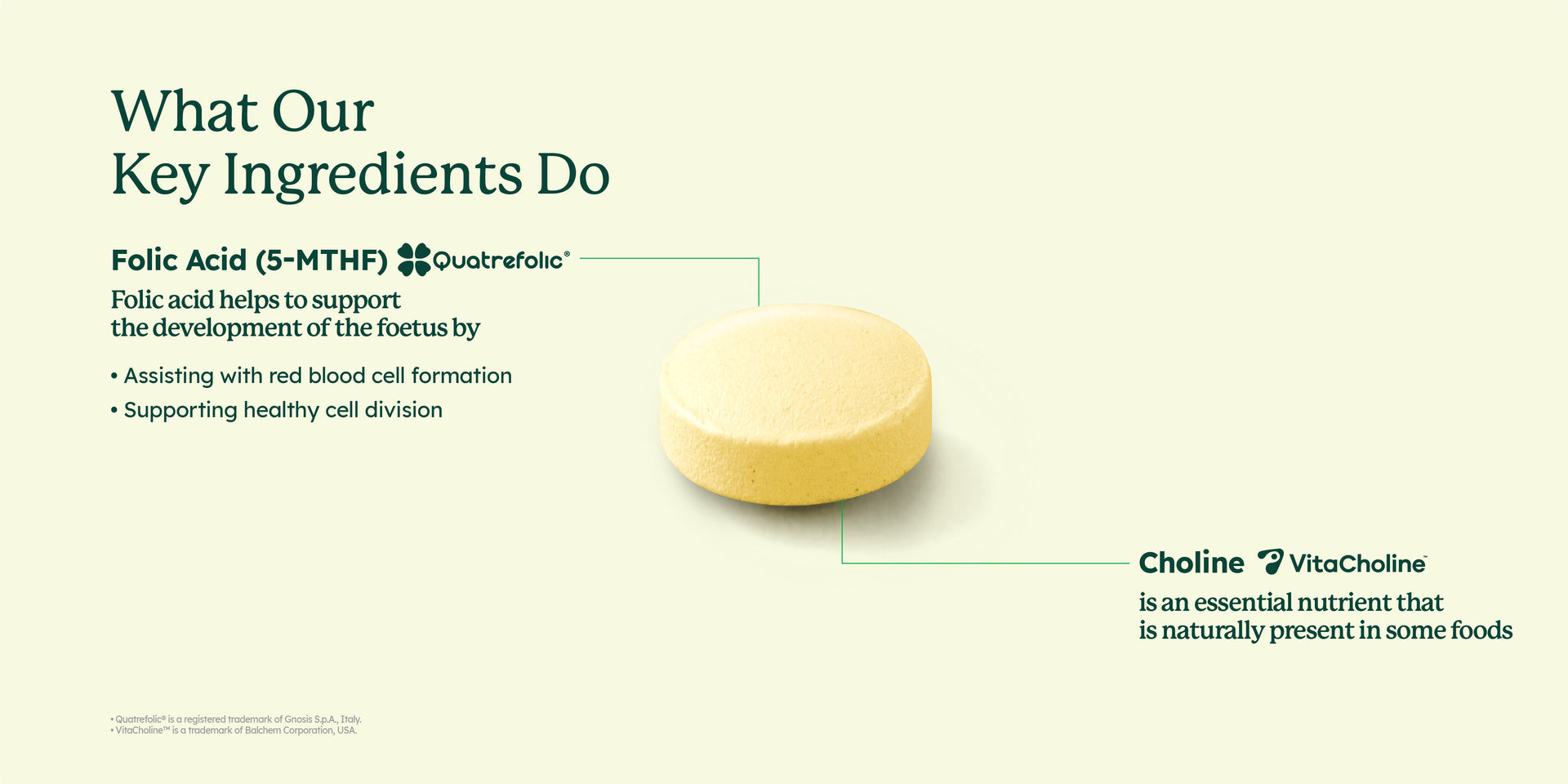 Pre-Conception & Pregnancy Duo Tablets (60's)