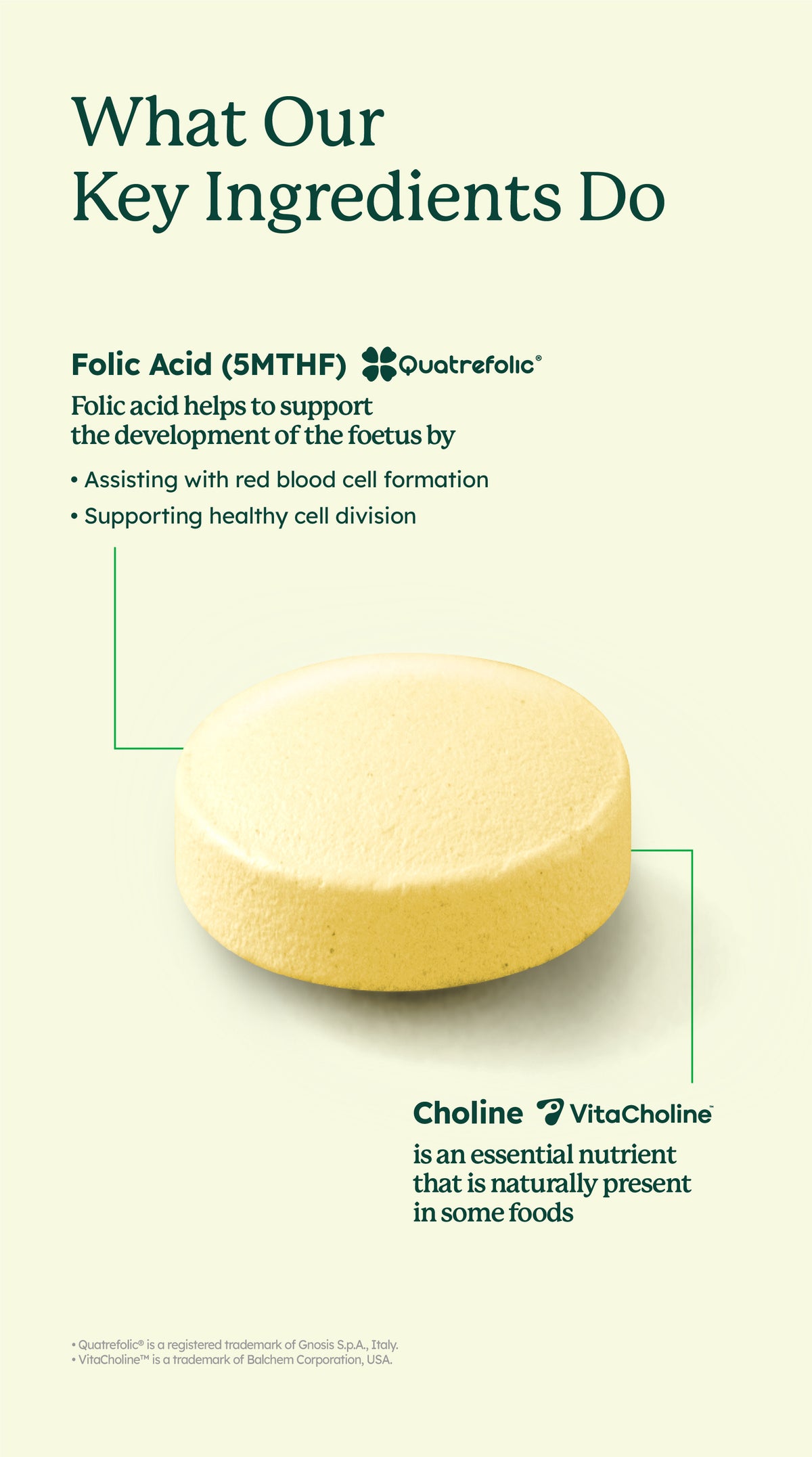 Pre-Conception & Pregnancy Duo Tablets (60's)