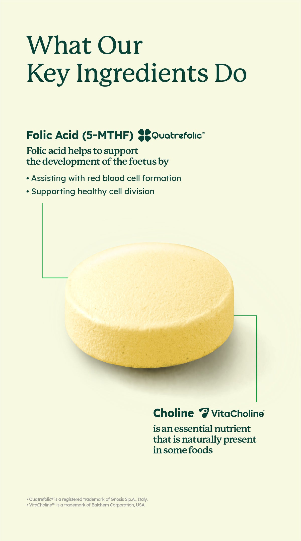 Pre-Conception & Pregnancy Duo Tablets (60's)