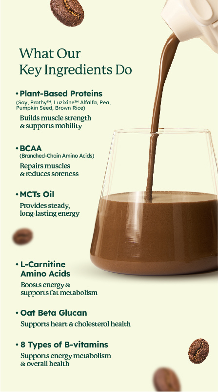 SleamMeals® Arabica Coffee Plant Protein Shake (15's)