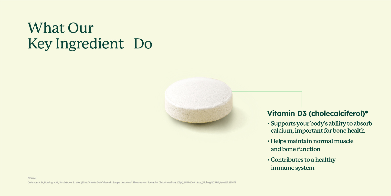 Plant Based Vitamin D3 (90 Tablets)